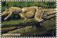 Colnect-4729-562-Carnotaurus.jpg