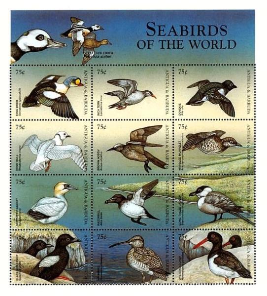 Colnect-4105-360-Seabirds.jpg