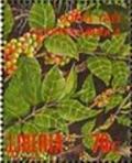 Colnect-2659-683-Coffee-tree.jpg