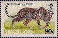 Colnect-4418-420-Leopard.jpg