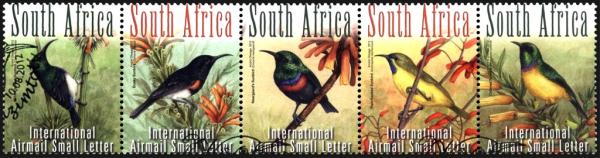 Colnect-2287-446-Sunbirds.jpg