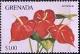 Colnect-2413-244-Anthurium.jpg