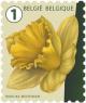 Colnect-3601-444-Daffodil.jpg
