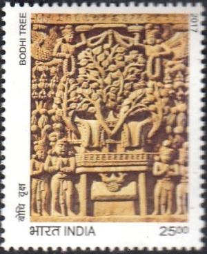 Colnect-4574-147-Bodhi-Tree.jpg