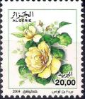 Colnect-5482-634-Rosa-odorata.jpg