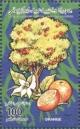 Colnect-5476-500-Oranges.jpg