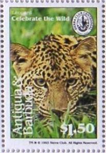 Colnect-4549-513-Leopard.jpg