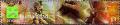 Colnect-313-054-Humanity.jpg