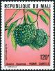 Colnect-2375-587-Soursops.jpg