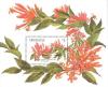 Colnect-2408-915-Overprinted.jpg