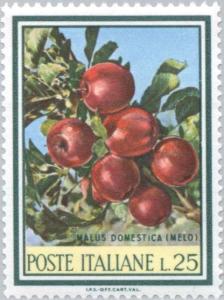 Colnect-171-505-Apple-tree.jpg