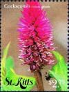Colnect-6310-263-Cockscomb.jpg