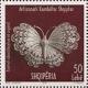 Colnect-1540-565-Butterfly.jpg