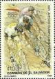 Colnect-4288-650-Cycling.jpg