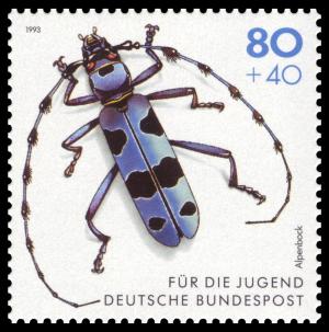 DBP_1993_1666_Alpenbock.jpg