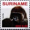 Colnect-4044-272-Gorilla-sp.jpg
