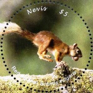 Colnect-5164-967-Red-squirrel.jpg