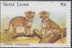 Colnect-3992-848-Leopards.jpg