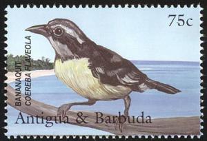 Colnect-5174-586-Bananaquit.jpg