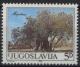 Colnect-769-798-Olive-Tree.jpg