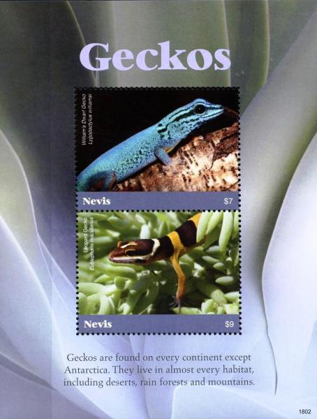 Colnect-5164-917-Geckos-2.jpg