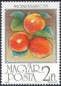 Colnect-604-496-Apricots.jpg
