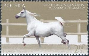 Colnect-4840-978-Pilarka.jpg