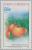 Colnect-2673-988-Oranges.jpg