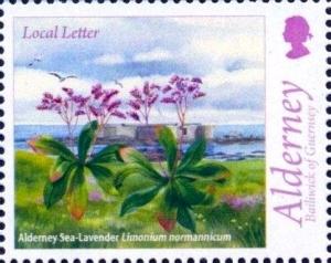 Colnect-4427-159-Sea-Lavander.jpg