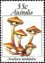 Colnect-476-989-Armillaria.jpg