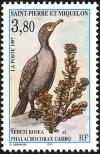 Colnect-2883-946-Great-Cormorant-Phalacrocorax-carbo-Stonecrop-Sedum-rose.jpg