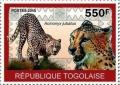 Colnect-6656-558-Acinonyx-jubatus.jpg