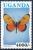 Colnect-2613-260-Natal-Acraea-Acraea-natalica.jpg