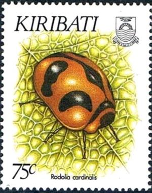 Colnect-2212-578-Cardinal-Ladybird-Rodolia-cardinalis.jpg