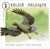Colnect-2606-267-Greylag-Goose-Anser-anser.jpg