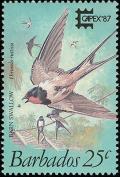Colnect-863-980-Barn-Swallow-Hirundo-rustica.jpg