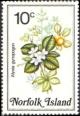 Colnect-2167-355-Alyxia-gynopogon.jpg