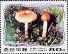 Colnect-2330-895-Amanita-vaginata.jpg