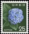 Colnect-813-845-Hydrangea-Hydrangea-sp.jpg