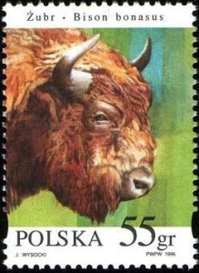 Colnect-3808-700-European-Bison-Bison-bonasus.jpg