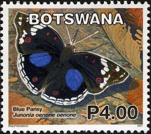 Colnect-778-748-Dark-Blue-Pansy-Junonia-oenone-oenone.jpg