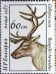 Colnect-1803-854-Reindeer-Rangifer-tarandus-tarandus.jpg