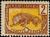 Colnect-800-009-Leopard-Panthera-pardus.jpg