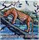 Colnect-1492-992-Leopard-Panthera-pardus.jpg