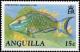 Colnect-2770-190-Stoplight-Parrotfish-Sparisoma-viride.jpg