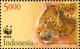 Colnect-3765-007-Javan-Leopard-Panthera-pardus-melas.jpg
