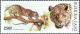Colnect-763-780-Leopard-Panthera-pardus.jpg