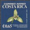 Colnect-2875-465-Lycaste-skinneri-alba.jpg