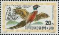 Colnect-418-909-Common-Pheasant-Phasianus-colchicus.jpg