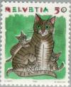Colnect-141-022-Domestic-Cat-Felis-silvestris-catus.jpg